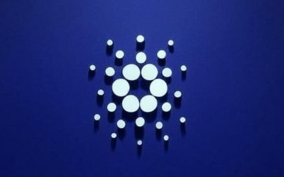 Cardano and Stellar Lead Altcoin Rally While Best Wallet Token Presale Hits $6.2M