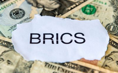 BRICS Intensifies Alternative Payments—2025 Agenda Targets Dollar-Free Systems