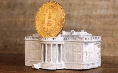 Microstrategy’s Michael Saylor Open to Crypto Advisory Role in Trump Administration