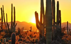 Arizona Lawmakers Pass Blockchain Records Bill