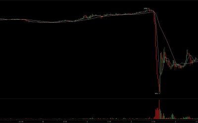 Newsflash: Bitcoin Price Crashes Below $1,000 After ETF Rejection