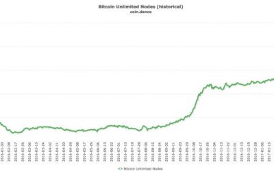 Code Bug Exploit Sends Bitcoin Unlimited Nodes Offline