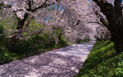 Japanese City Govt Accepts Bitcoin to Preserve Famed Historic Park