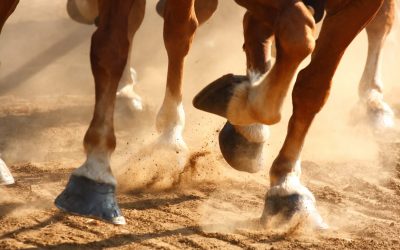 What’s Horsepower? Or How to Differentiate Your Blockchain Startup