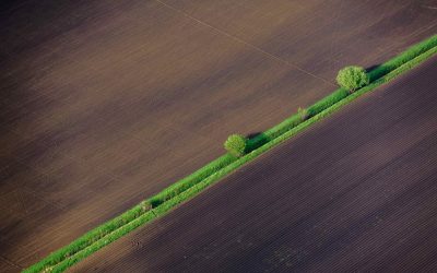 Blockchain Land Registry: A Solution Seeking a Problem?