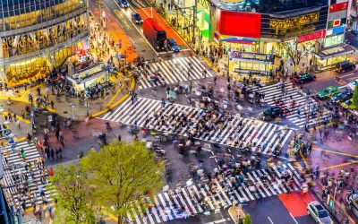 Over 10 New Bitcoin Exchanges Set to Launch in Japan