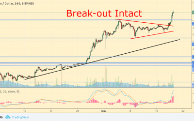 Daily Analysis: Stocks Bounce Back as Trump Plays War Card & Bitcoin With a New High