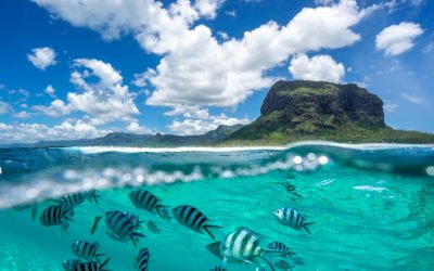 Mauritius: The Tropical Paradise Looking to Become a Blockchain Hub