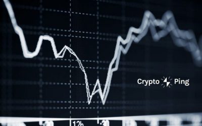 CryptoPing Announces Subscription-Based Services and Adds Trading Analysis of Yobit Exchange.