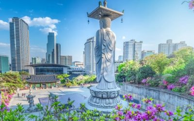 South Korea to Dispose of 216 Bitcoins in First Public Auction