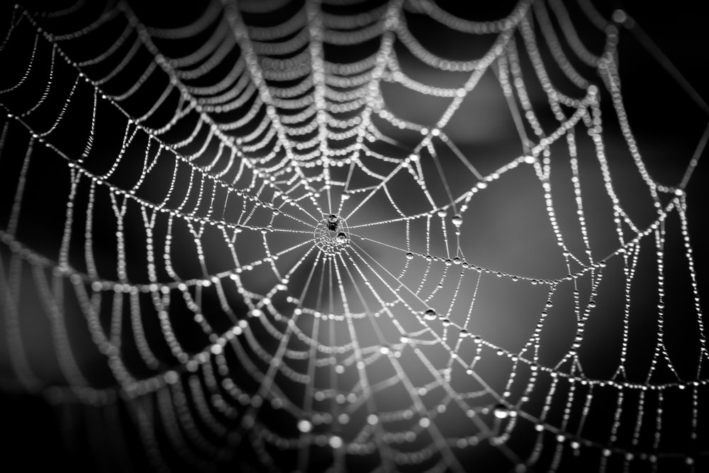 Global Joint Police Operation Undermines Darknet Marketplaces