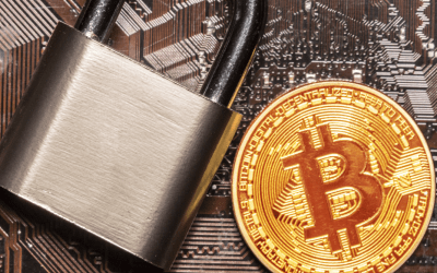 A Look at Two Alternative Bitcoin Hardware Wallets on the Market