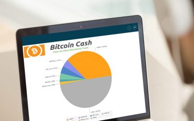 Bitcoin Cash Now Commands Over 20% of BTC’s Total Hashrate