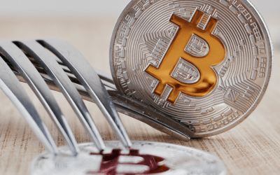 Fork Watch: Japanese Exchanges Embracing Bitcoin Cash Post-Fork