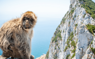 Gibraltar Gets First Bitcoin ATM While Working on Cryptocurrency Regulation