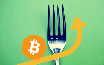 Hours Away From Bitcoin Fork, Price Above $2,900 as Investors Remain Confident