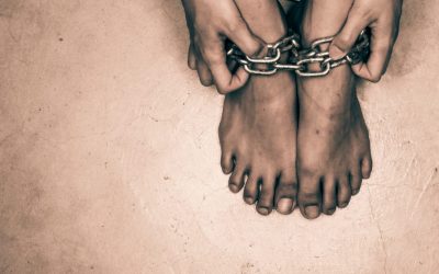 University Research Project Analyzes Bitcoin Blockchain to Combat Sex Trade