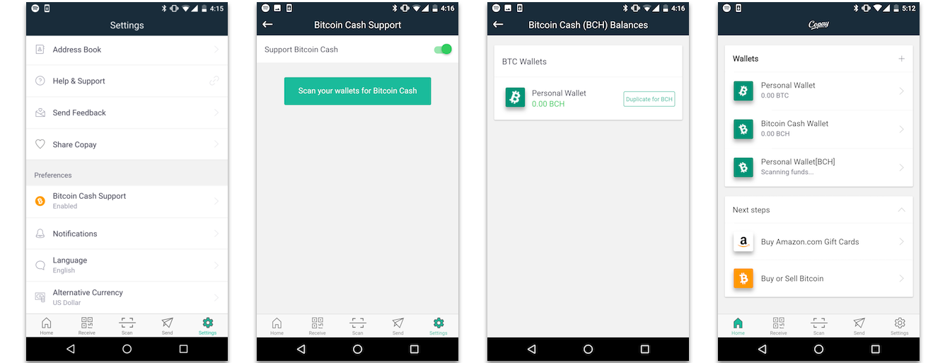 Bitpay Adds Bitcoin Cash Support to Copay Wallet and Insight Block Explorer