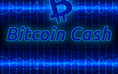 Lead Developer Amaury Séchet Discusses the Future of Bitcoin Cash