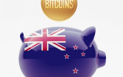 Professor Urges New Zealand Government to Develop Bitcoin Regulations