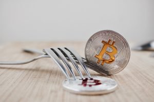 Calvin Ayre Declares Bitcoin Cash 