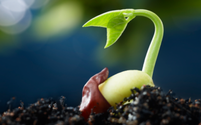 Cofound.it Selects 5 Blockchain Startups For Newly Launched Seed Program