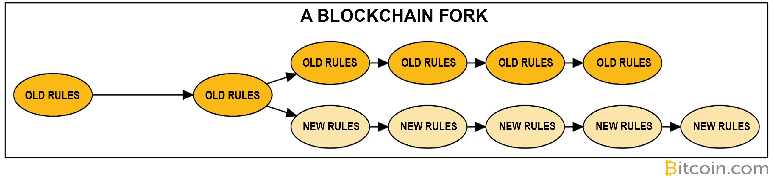 A Simple Guide to What Bitcoin Forks Are and Why They Happen A Simple Guide to What Bitcoin Forks Are and Why They Happen