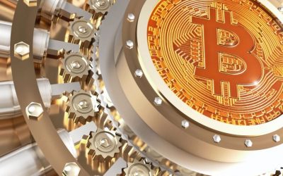 Bitcoin for Beginners: How to Safeguard Your Cryptocurrency Holdings