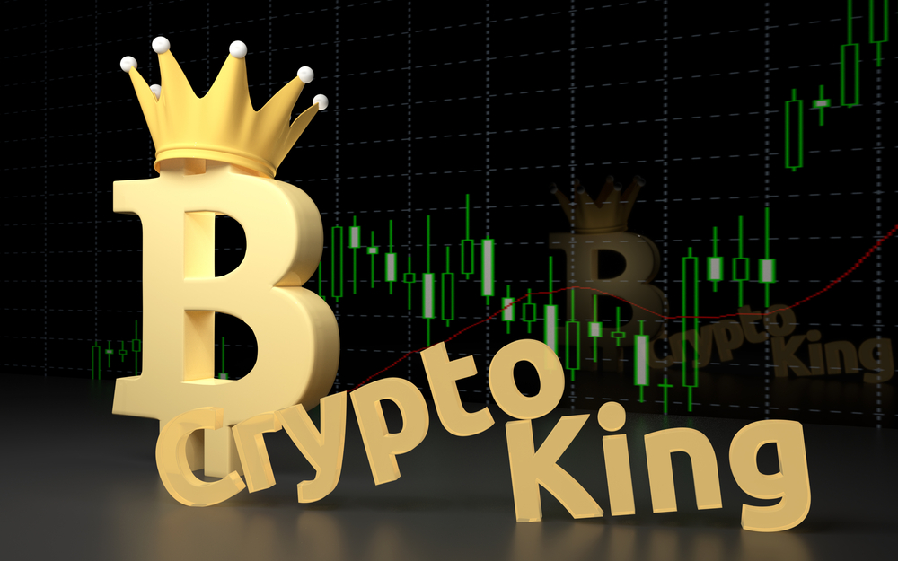 Bitcoin Price Shows no Signs of Slowing Down as $11,000 is Within Reach