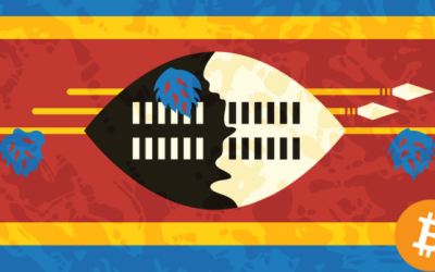 Central Bank of Swaziland: It’s Not Wise to Dismiss Cryptocurrencies