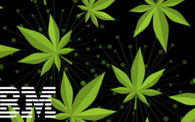 IBM: Blockchain May End Up Tracking Cannabis Sales in Canada