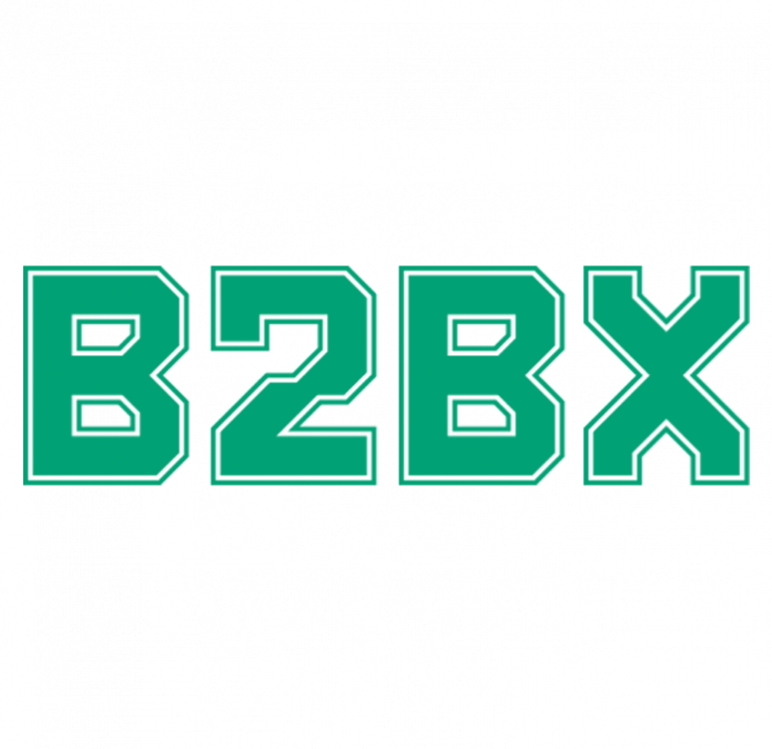 PR: B2BX Team Creating a Cryptocurrency Exchange, or ICO from the Real Business