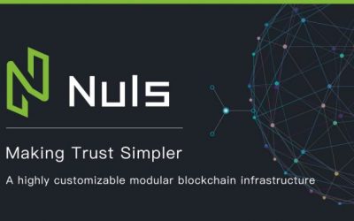 PR: Nuls—the Global Open Source Platform for Blockchain-Based Applications to Be Adopted in Business Scenarios