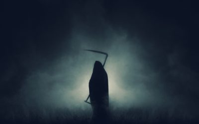 The Reaper Is Grim – What to Expect From the Latest Botnet