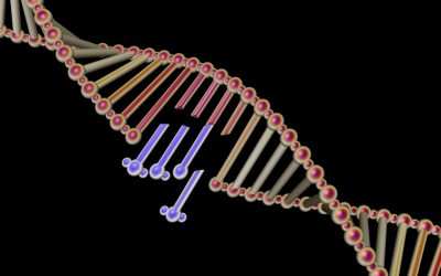 This DIY Kit Lets Anyone Modify DNA