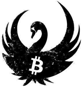 Bitcoin's Market Cap Surpasses the IMF's Special Drawing Rights Reserves