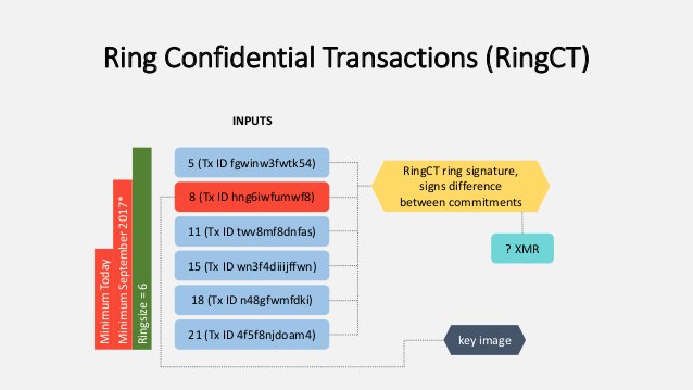 Everything You Ever Wanted to Know About Privacy Coins