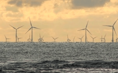 Subsidy-Free Offshore Wind Power Possible in Dutch Auction