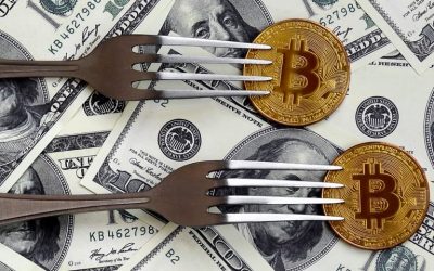 A Bitcoin User’s Guide to Claiming Forked Coins