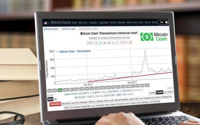 Bitcoin Cash Network Status: Transactions On the Rise