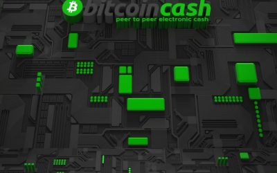 Bitcoin Cash Will Close Out 2017 With Significant Infrastructure Support