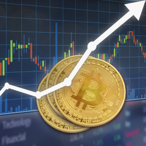 Bitcoin for Beginners: Which Cryptocurrency Exchange Should I Use?