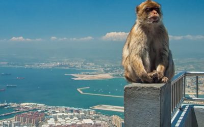 Gibraltar Paves Way for Regulation of Crypto and DLT Companies