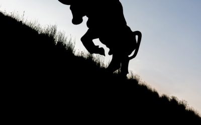 SEC Ramps Up Crypto Oversight – Hires Coin ETF ”Expert”