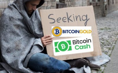 Three Times as Much Bitcoin Cash Has Been Claimed as Bitcoin Gold