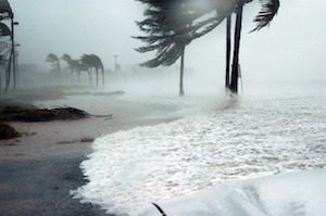 New Bill Targets Solar, Storage for Disaster Resilience in Florida