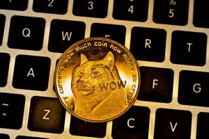 Dogecoin Developers Lament Billion Dollar Market Cap Milestone