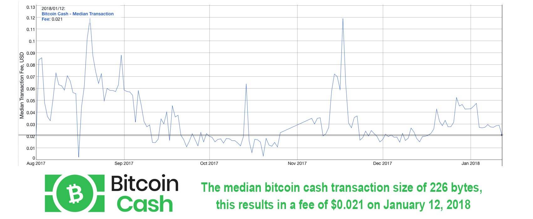 Six Months Later Bitcoin Cash Support Continues to Grow