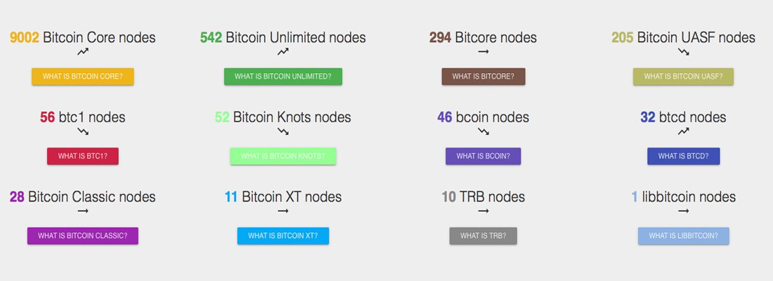 As Blockchains Grow Bigger, Full Node Counts Increase