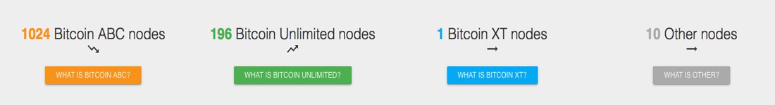 As Blockchains Grow Bigger, Full Node Counts Increase